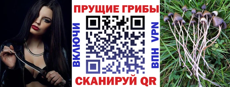 Галлюциногенные грибы мухоморы  Купить где  Теберда 